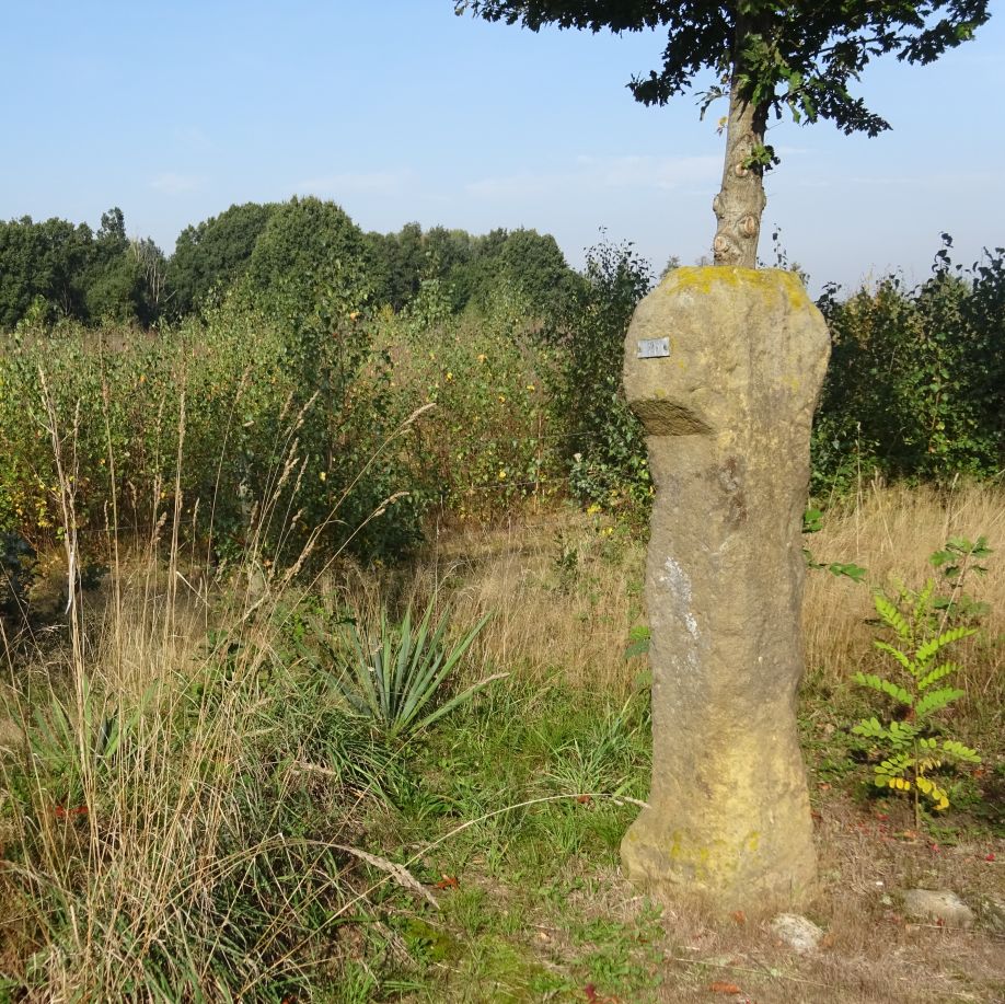 Grenspaal bovenop de Hasseberg bij Sellingen - Foto Sanne Meijer