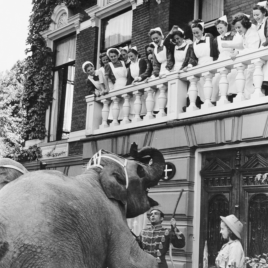 Circus Jos Mullens komt even langs, Groningen, 1951 Moet cryptisch toch? Foto Fotobedrijf Piet Boonstra, Groninger Archieven
