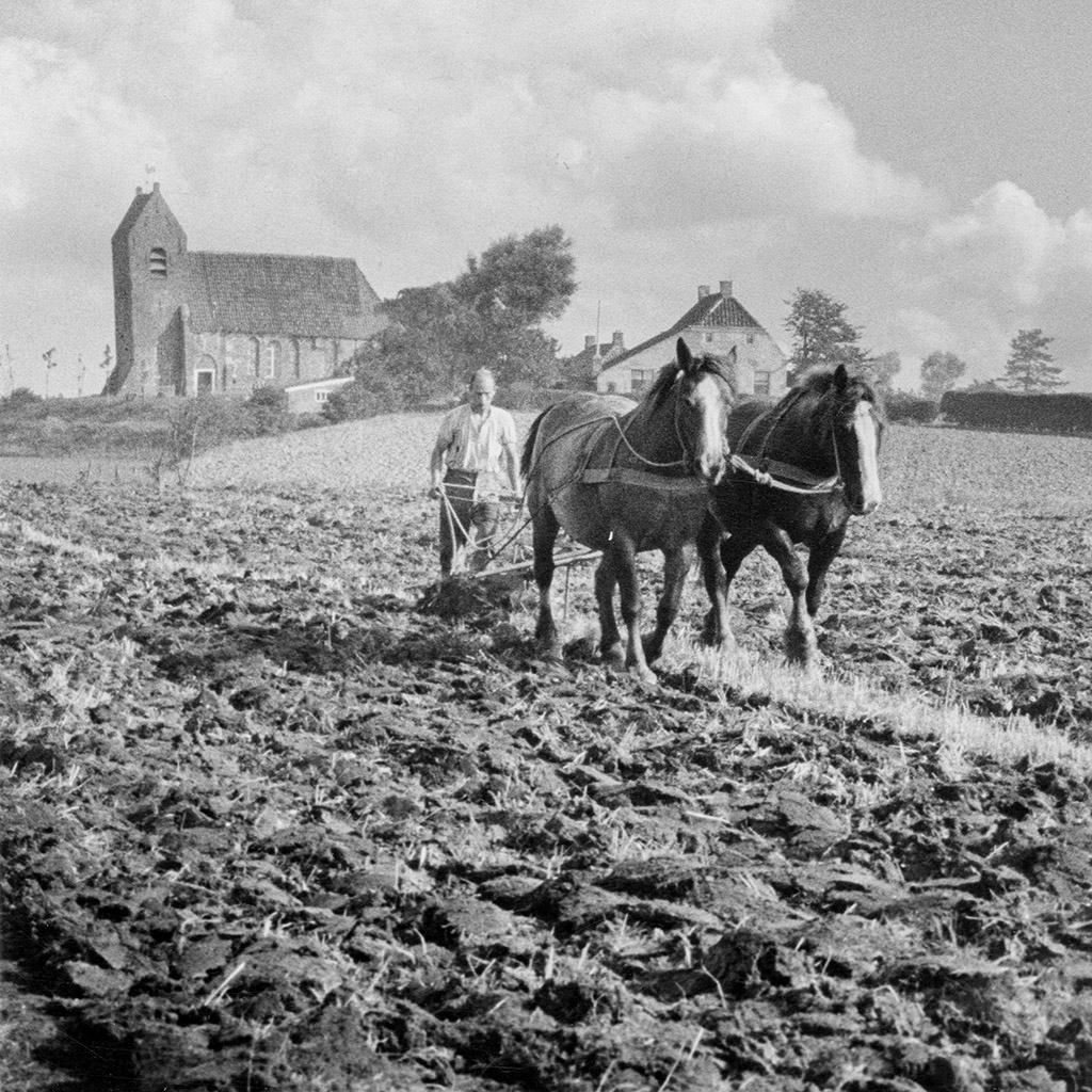 Boer ploegt akker met tweespan paarden, op de achtergrond de kerk van Oostum, 1930-1960.